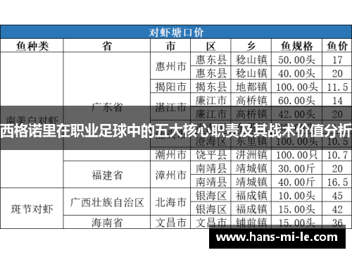 西格诺里在职业足球中的五大核心职责及其战术价值分析 西格诺里在职业足球中的五大核心职责及其战术价值分析